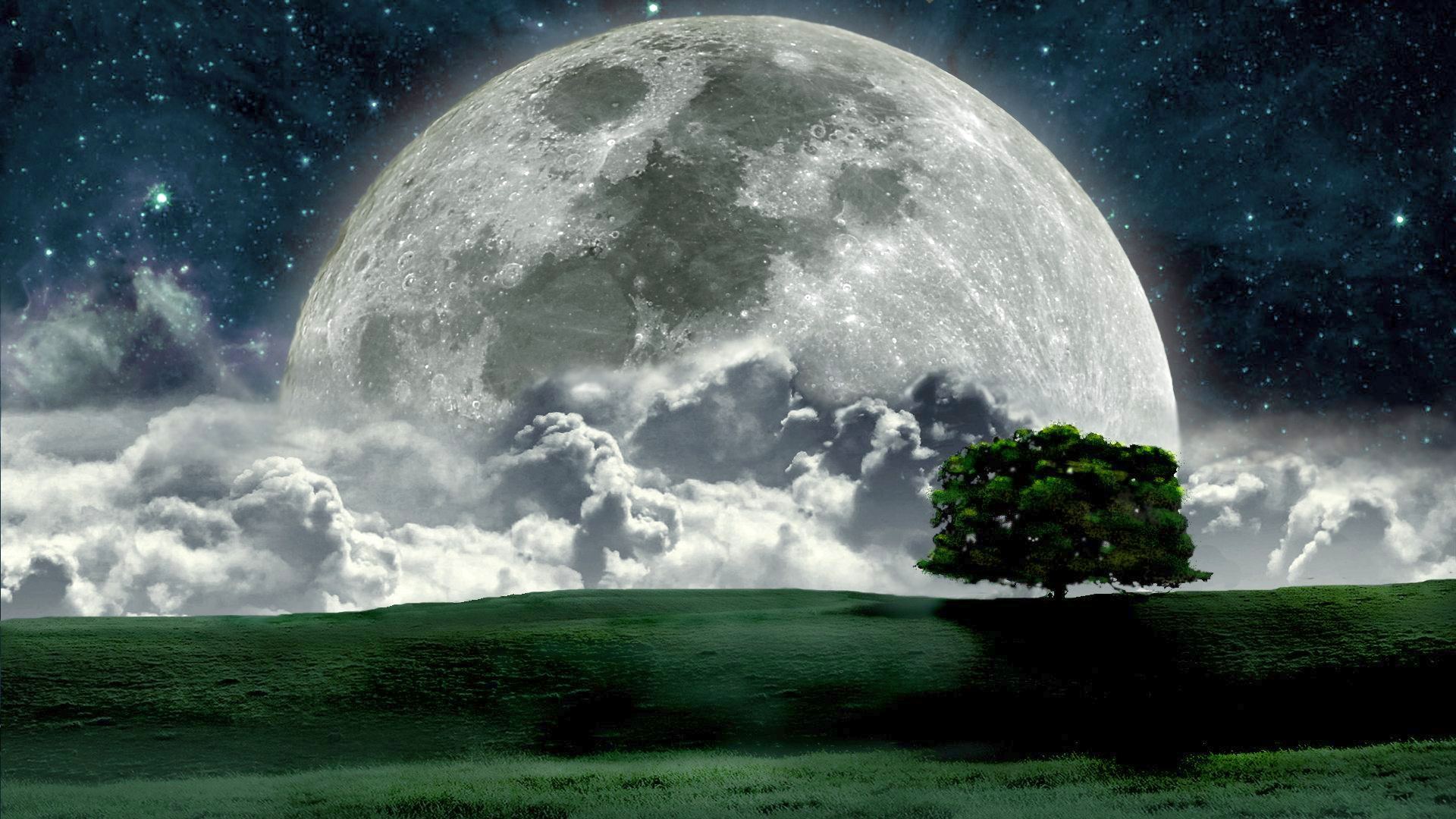 Big Full Moon In Night