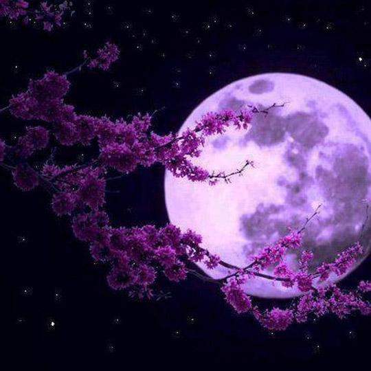 Красивые картинки красивая луна